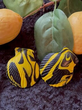 Yellow & Black Swirl Shell Earrings - Bold Statement